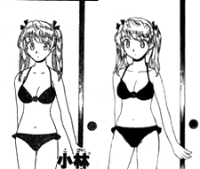 沢近愛理比較23